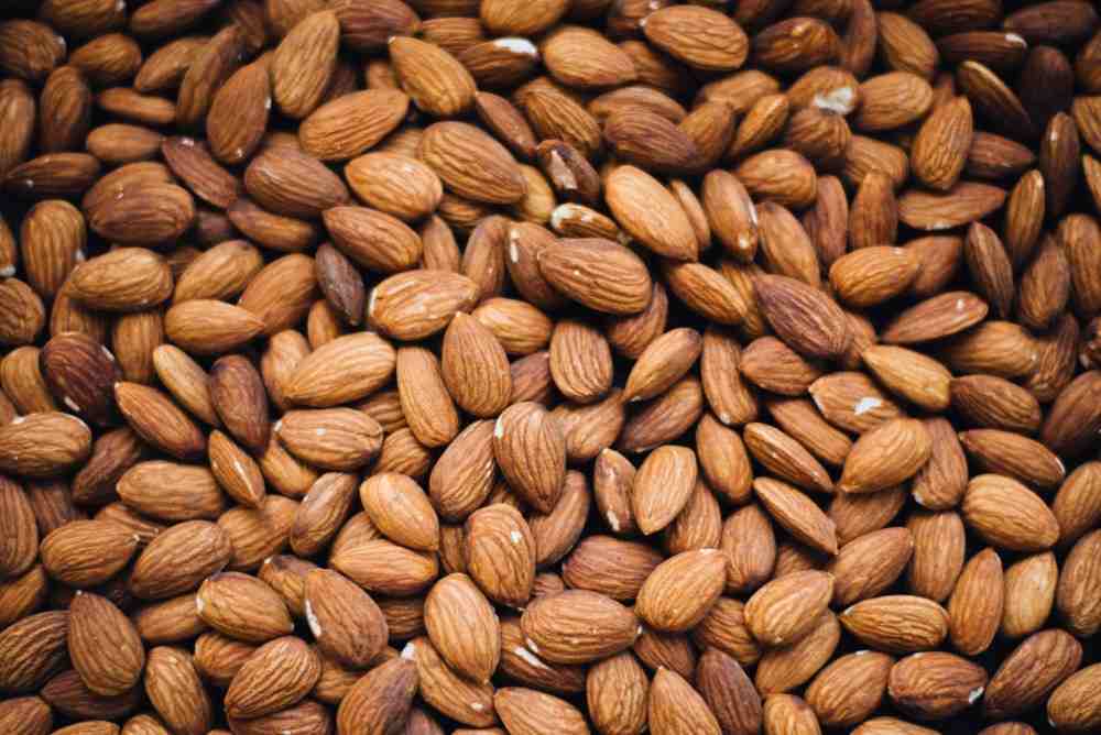 Aliments riches en magnésium amandes