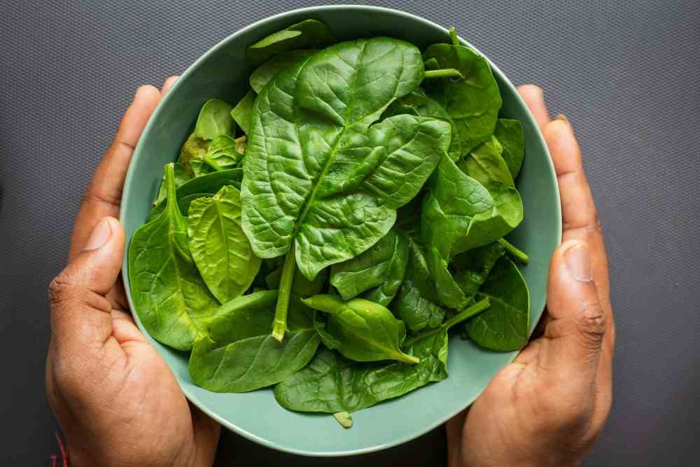 Top 10 des aliments riches en magnésium