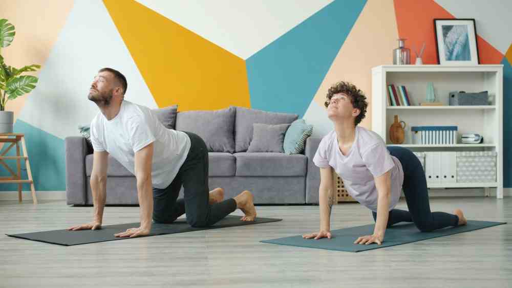 7 exercices pour dire adieu au mal de dos position chat vache