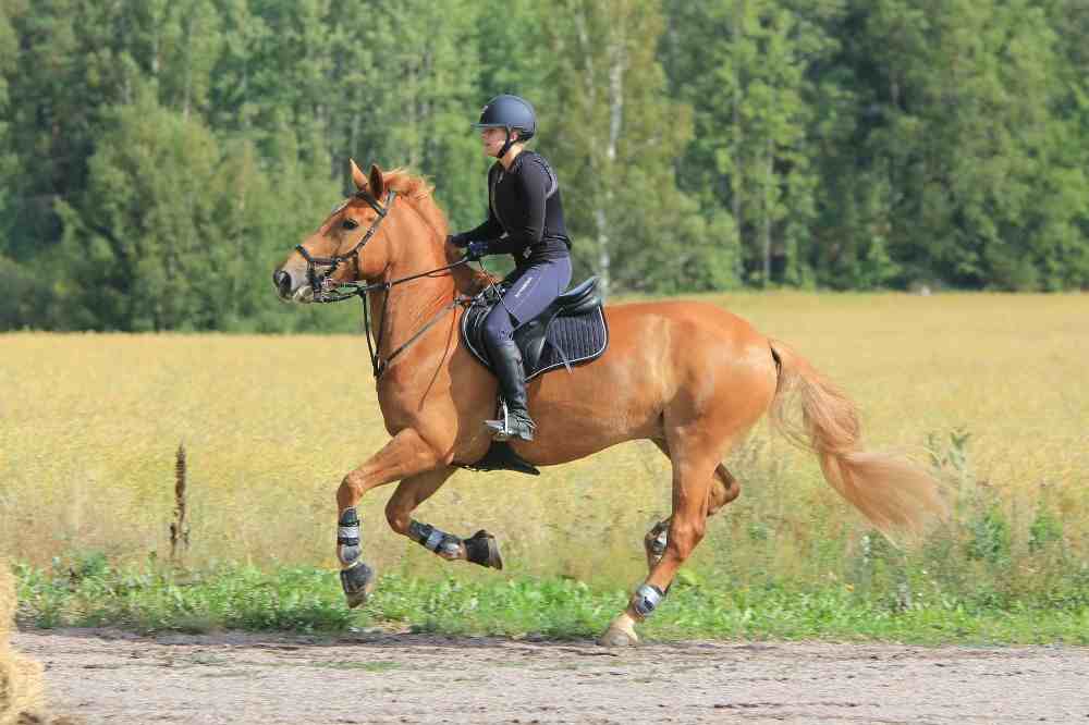 Est-ce-que l'équitation est un sport, cavalière à cheval