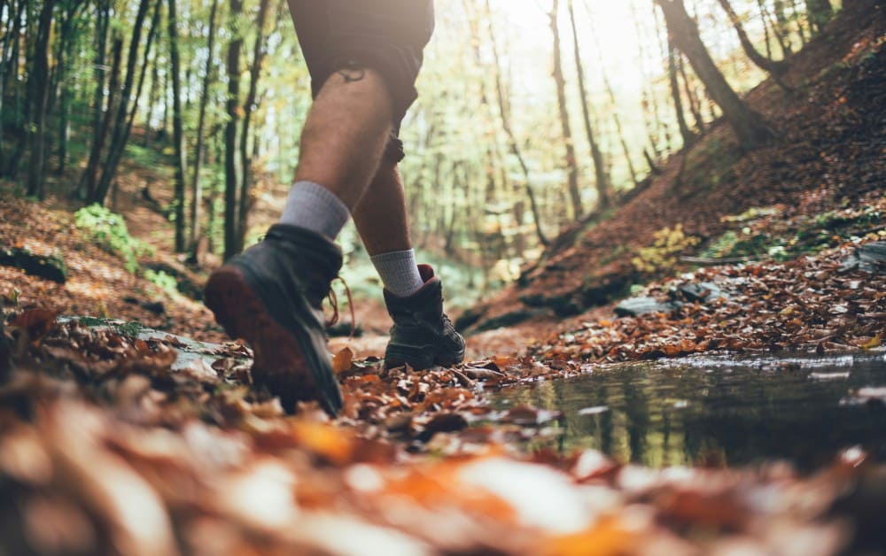 Sportif dans la nature sport santé