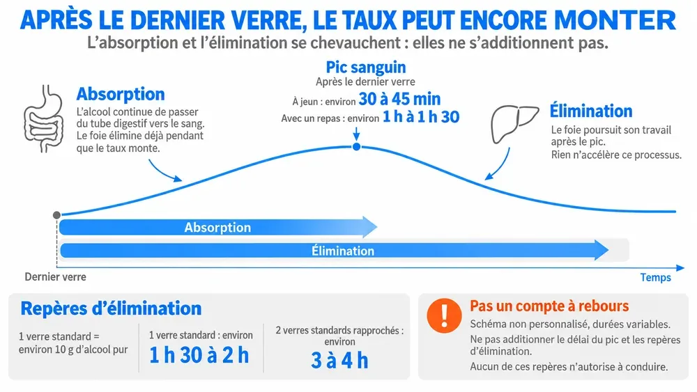 APRÈS LE DERNIER VERRE, LE TAUX PEUT ENCORE MONTER. L’absorption et l’élimination se chevauchent : elles ne s’additionnent pas.